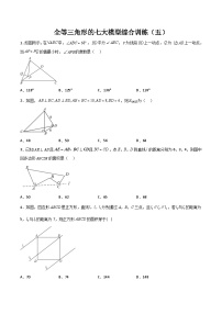 全等三角形的七大模型综合训练（五）-2023-2024学年七年级数学下册全等三角形的七大模型全攻略（北师大版，成都专用）