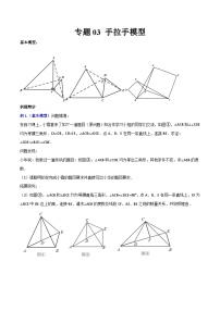 专题03 手拉手模型-2023-2024学年七年级数学下册全等三角形的七大模型全攻略（北师大版，成都专用）