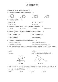 湖北省武汉市江岸区2023-2024学年八年级上学期期末数学试卷