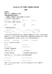 湖南省益阳市安化县2023-2024学年八年级上学期期末数学试题