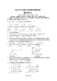 2023-2024雅礼集团九年级上学期期末考试数学试卷