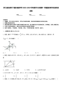 浙江省杭州市下城区观城中学2023-2024学年数学九年级第一学期期末教学质量检测试题含答案