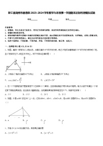 浙江省湖州市德清县2023-2024学年数学九年级第一学期期末达标检测模拟试题含答案