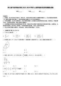 浙江省宁波市惠贞书院2023-2024学年九上数学期末质量检测模拟试题含答案