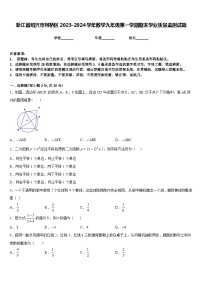 浙江省绍兴市柯桥区2023-2024学年数学九年级第一学期期末学业质量监测试题含答案