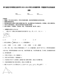 浙江省绍兴市柯桥区实验中学2023-2024学年九年级数学第一学期期末学业质量监测试题含答案