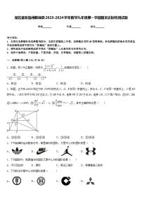 湖北省恩施州鹤峰县2023-2024学年数学九年级第一学期期末达标检测试题含答案