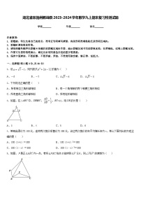 湖北省恩施州鹤峰县2023-2024学年数学九上期末复习检测试题含答案