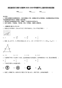 湖北省武汉江岸区七校联考2023-2024学年数学九上期末综合测试试题含答案