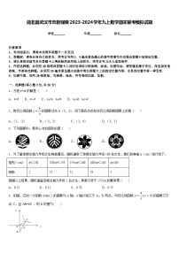 湖北省武汉市市新观察2023-2024学年九上数学期末联考模拟试题含答案