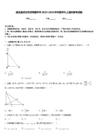 湖北省武汉市武珞路中学2023-2024学年数学九上期末联考试题含答案