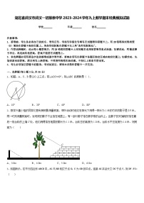 湖北省武汉市武汉一初慧泉中学2023-2024学年九上数学期末经典模拟试题含答案