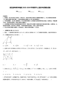 湖北省孝感市孝南区2023-2024学年数学九上期末考试模拟试题含答案