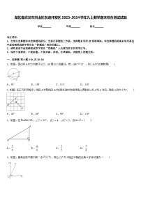 湖北省武汉市洪山区东湖开发区2023-2024学年九上数学期末综合测试试题含答案