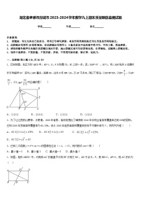 湖北省孝感市应城市2023-2024学年数学九上期末质量跟踪监视试题含答案