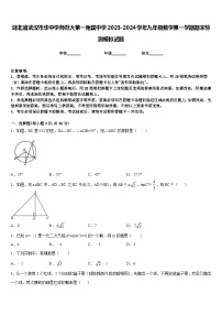 湖北省武汉市华中学师范大第一附属中学2023-2024学年九年级数学第一学期期末检测模拟试题含答案