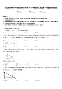 湖北省仙桃市和平外国语学校2023-2024学年数学九年级第一学期期末检测试题含答案