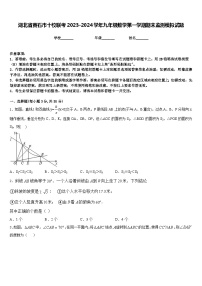 湖北省黄石市十校联考2023-2024学年九年级数学第一学期期末监测模拟试题含答案