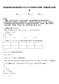 湖北省荆州市洪湖市瞿家湾中学2023-2024学年数学九年级第一学期期末复习检测试题含答案