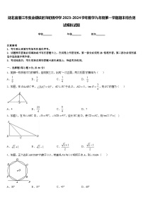 湖北省潜江市张金镇铁匠沟初级中学2023-2024学年数学九年级第一学期期末综合测试模拟试题含答案