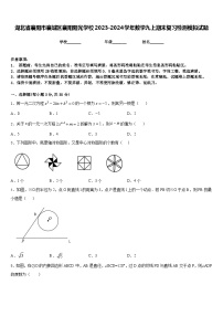 湖北省襄阳市襄城区襄阳阳光学校2023-2024学年数学九上期末复习检测模拟试题含答案