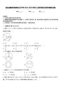 湖北省襄阳市襄州区龙王中学2023-2024学年九上数学期末达标检测模拟试题含答案