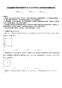 湖北省襄阳市枣阳市蔡阳中学2023-2024学年九上数学期末检测模拟试题含答案