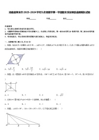 湖南省娄底市2023-2024学年九年级数学第一学期期末质量跟踪监视模拟试题含答案