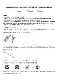 湖南省邵阳市邵东县2023-2024学年九年级数学第一学期期末联考模拟试题含答案