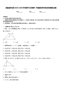 湖南省邵东县2023-2024学年数学九年级第一学期期末教学质量检测模拟试题含答案