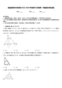 湖南省娄底市双峰县2023-2024学年数学九年级第一学期期末预测试题含答案