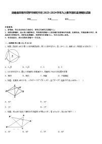 湖南省岳阳市汨罗市弼时片区2023-2024学年九上数学期末监测模拟试题含答案