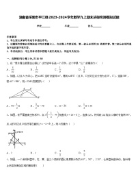 湖南省岳阳市平江县2023-2024学年数学九上期末达标检测模拟试题含答案