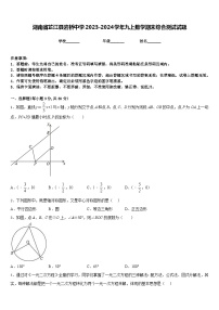 湖南省芷江县岩桥中学2023-2024学年九上数学期末综合测试试题含答案