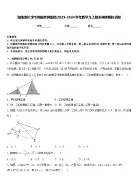 湖南省长沙市周南教育集团2023-2024学年数学九上期末调研模拟试题含答案