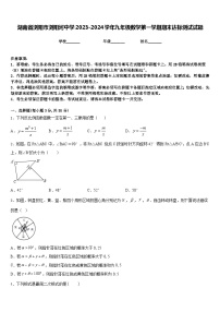 湖南省浏阳市浏阳河中学2023-2024学年九年级数学第一学期期末达标测试试题含答案