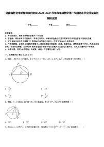 湖南省怀化市新晃侗族自治县2023-2024学年九年级数学第一学期期末学业质量监测模拟试题含答案