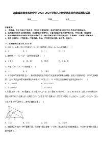 湖南省邵阳市五四中学2023-2024学年九上数学期末综合测试模拟试题含答案