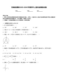 甘肃省民勤县2023-2024学年数学九上期末监测模拟试题含答案