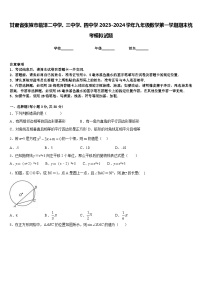 甘肃省张掖市临泽二中学、三中学、四中学2023-2024学年九年级数学第一学期期末统考模拟试题含答案