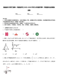 湖南省长沙青竹湖湘一外国语学校2023-2024学年九年级数学第一学期期末监测模拟试题含答案