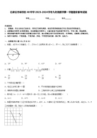 石家庄市裕华区40中学2023-2024学年九年级数学第一学期期末联考试题含答案