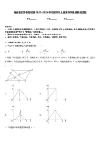 湖南省长沙市望城县2023-2024学年数学九上期末教学质量检测试题含答案