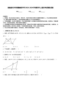 湖南省长沙市青雅丽发中学2023-2024学年数学九上期末考试模拟试题含答案