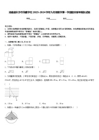 湖南省长沙市怡雅学校2023-2024学年九年级数学第一学期期末联考模拟试题含答案