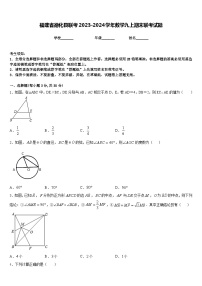 福建省德化县联考2023-2024学年数学九上期末联考试题含答案