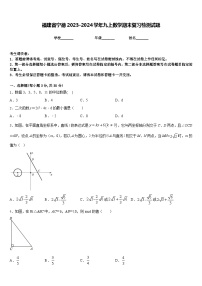 福建省宁德2023-2024学年九上数学期末复习检测试题含答案