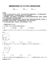 福建省泉州市泉港区2023-2024学年九上数学期末考试试题含答案