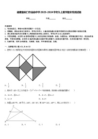 福建省厦门市金尚中学2023-2024学年九上数学期末检测试题含答案