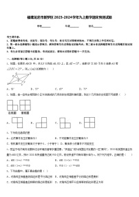 福建龙岩市新罗区2023-2024学年九上数学期末预测试题含答案